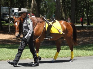 DSC02143Memorial Day 30